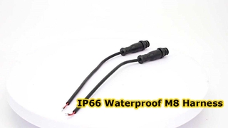 M8 6 Pin Waterproof Wire Harness IP66